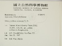 裂褶菌藏品圖，第2張