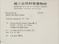 雲芝藏品圖，第2張