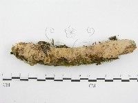 登錄號:F0008856藏品圖，第1張