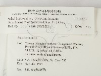 登錄號:F0008857藏品圖，第2張