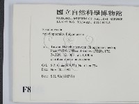 登錄號:F0008858藏品圖，第2張