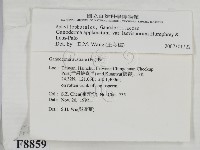 登錄號:F0008859藏品圖，第2張