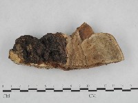 登錄號:F0008859藏品圖，第4張