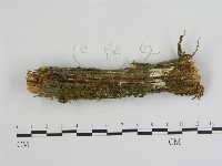 登錄號:F0008863藏品圖，第1張