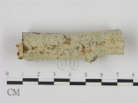 登錄號:F0008865藏品圖，第1張