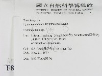 刺革菌屬藏品圖，第2張