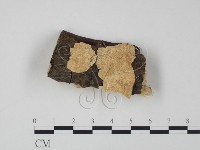 登錄號:F0008869藏品圖，第1張