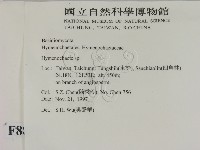 刺革菌屬藏品圖，第2張