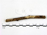 登錄號:F0008873藏品圖，第1張