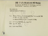 登錄號:F0008874藏品圖，第2張