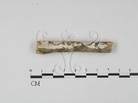 登錄號:F0008874藏品圖，第1張