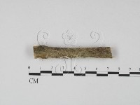 登錄號:F0008874藏品圖，第4張