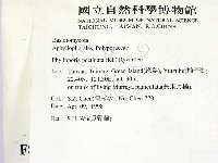 登錄號:F0008875藏品圖，第2張