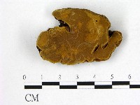 登錄號:F0008875藏品圖，第1張