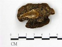 登錄號:F0008875藏品圖，第3張