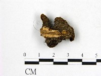 登錄號:F0008876藏品圖，第3張