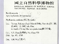 登錄號:F0008877藏品圖，第2張
