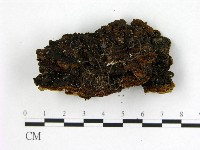 登錄號:F0008877藏品圖，第3張