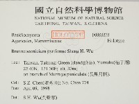 登錄號:F0008878藏品圖，第2張