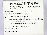 登錄號:F0008880藏品圖，第2張