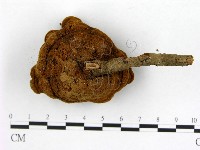 登錄號:F0008880藏品圖，第3張