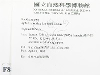 革墊菌屬藏品圖，第2張