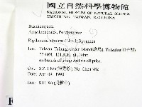 登錄號:F0008883藏品圖，第2張