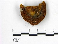 登錄號:F0008883藏品圖，第1張