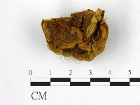 登錄號:F0008883藏品圖，第3張