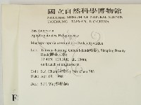 登錄號:F0008884藏品圖，第2張