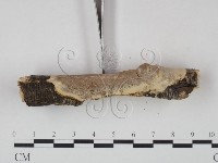 登錄號:F0008884藏品圖，第3張