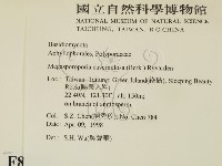 登錄號:F0008885藏品圖，第2張