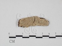 登錄號:F0008885藏品圖，第1張