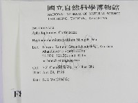 登錄號:F0008887藏品圖，第2張