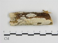 登錄號:F0008888藏品圖，第1張