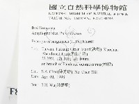 血紅密孔菌藏品圖，第2張