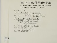 雲芝藏品圖，第2張