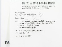 多孔菌屬藏品圖，第2張