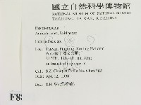 刺皮菌屬藏品圖，第2張