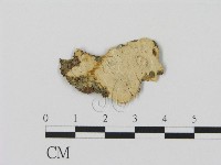登錄號:F0008895藏品圖，第1張
