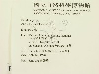 登錄號:F0008896藏品圖，第2張