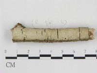 登錄號:F0008896藏品圖，第1張
