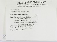 登錄號:F0008897藏品圖，第2張