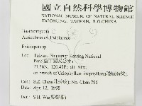 登錄號:F0008898藏品圖，第2張