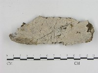 登錄號:F0008899藏品圖，第1張