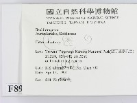 刺皮菌屬藏品圖，第2張