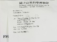 刺皮菌屬藏品圖，第2張