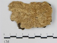 登錄號:F0008902藏品圖，第1張