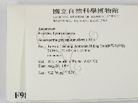 登錄號:F0008903藏品圖，第2張