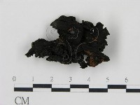 登錄號:F0008903藏品圖，第3張